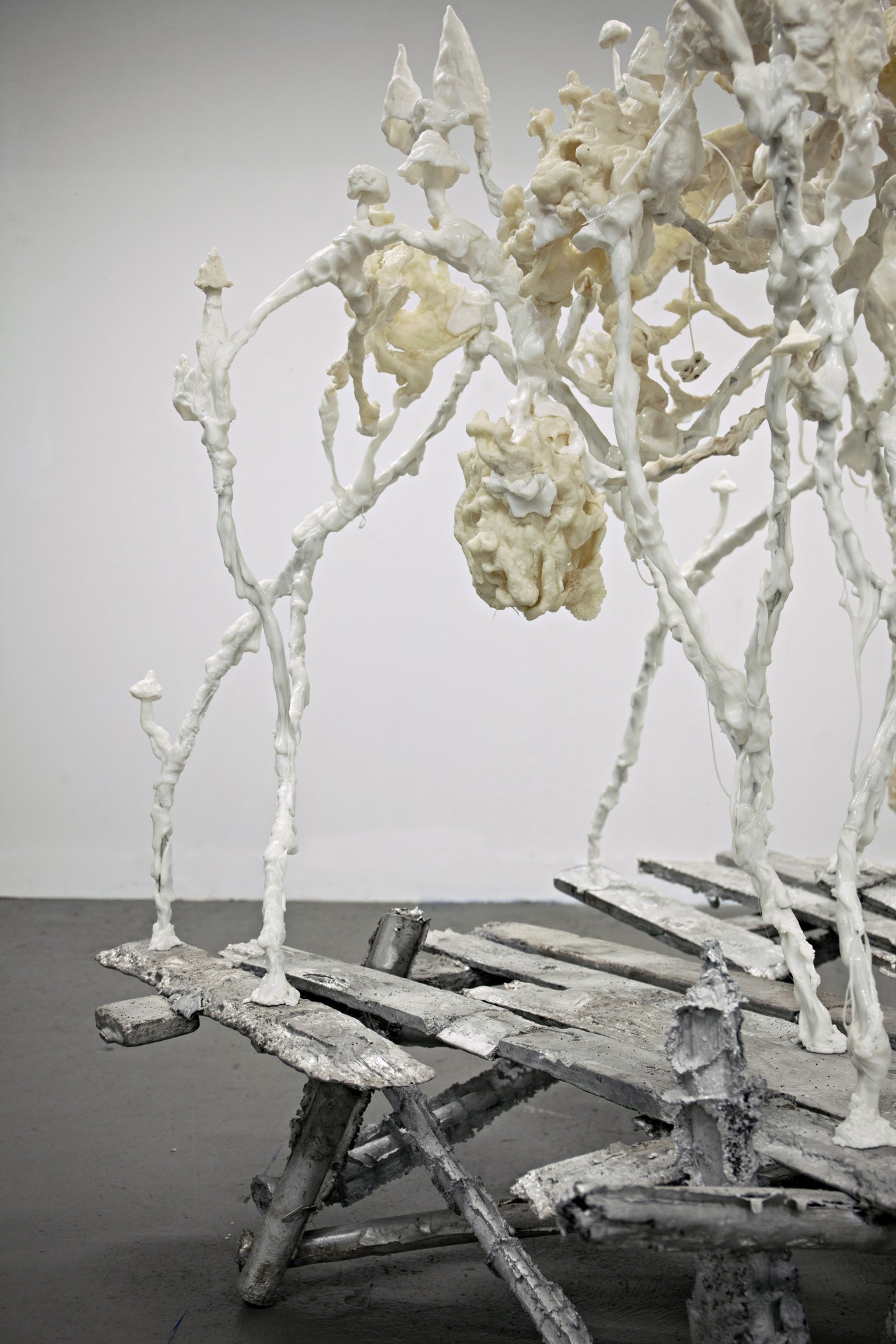 Nelson Pernisco - Ectoplasma