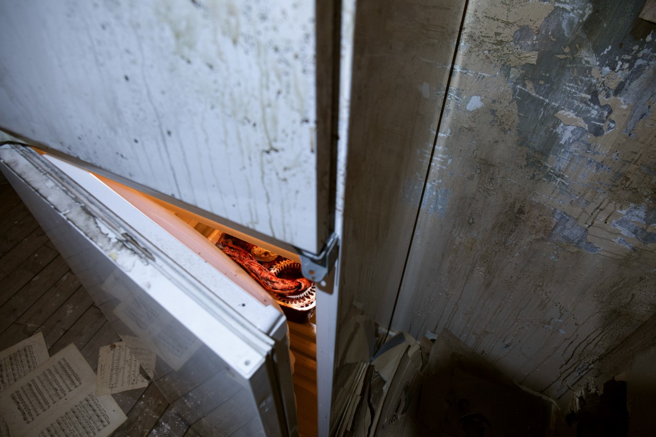 Nelson Pernisco - Everywhere at the end of time