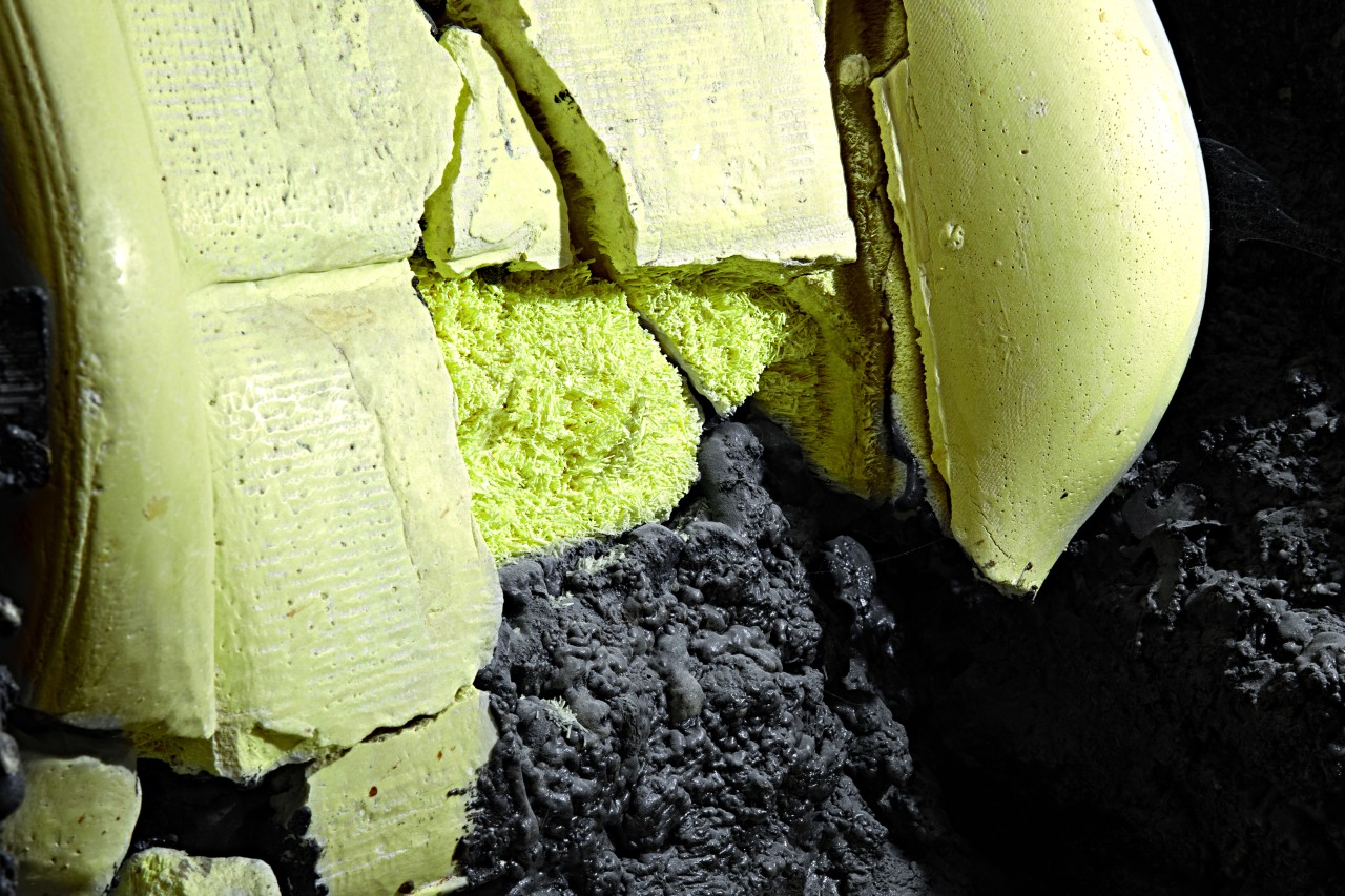 Nelson Pernisco - In this place lived a fire