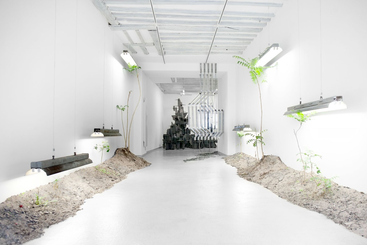 Nelson Pernisco - Le palmier des ghettos