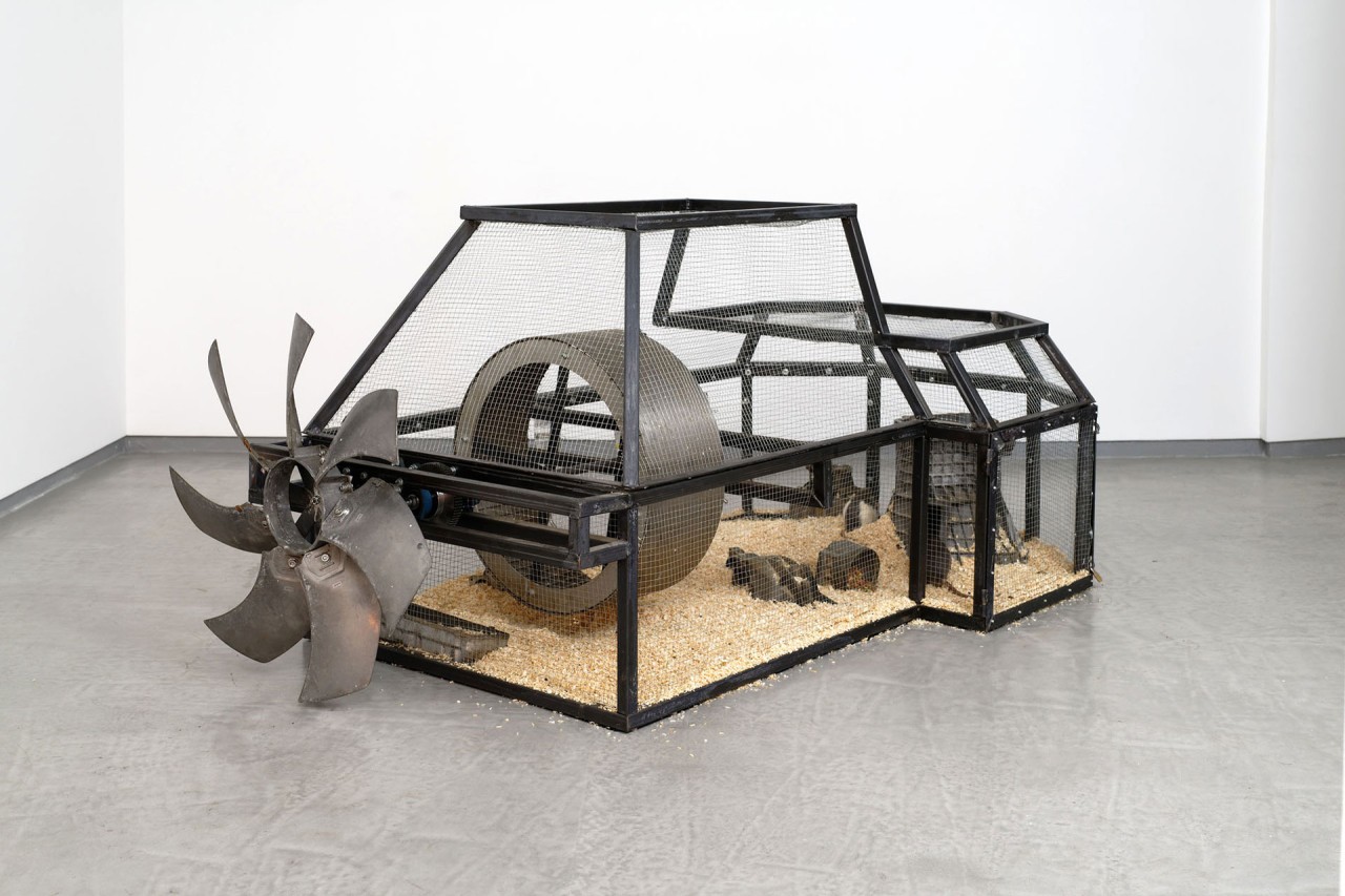 Nelson Pernisco - Pied sous feuille