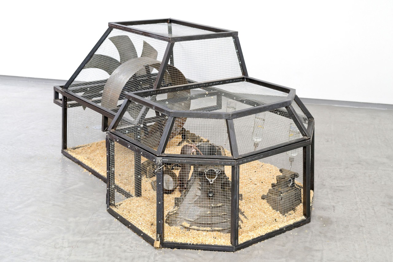 Nelson Pernisco - Pied sous feuille